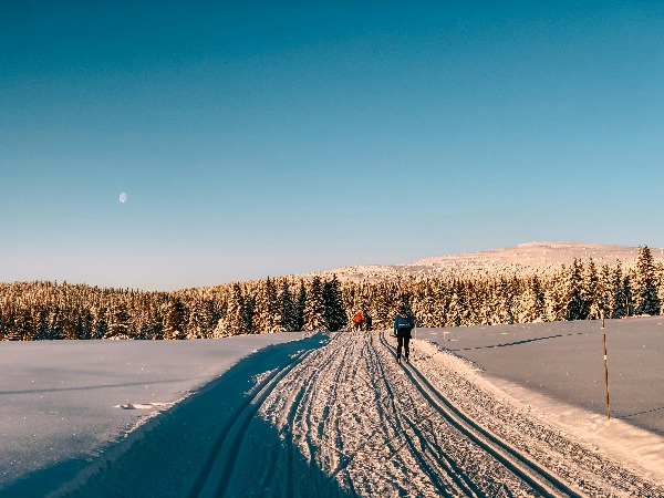 skidefond blog