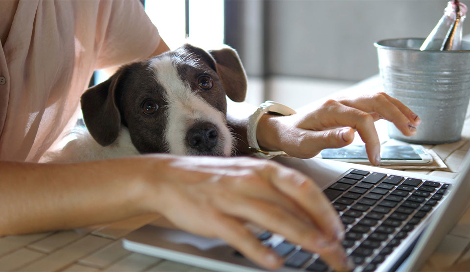 We promote teleworking with our employees to limit our carbon footprint