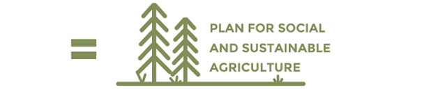 Participates in a social and sustainable agriculture plan