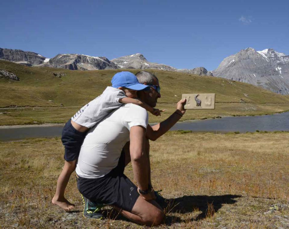 Activities to raise awareness of environmental protection