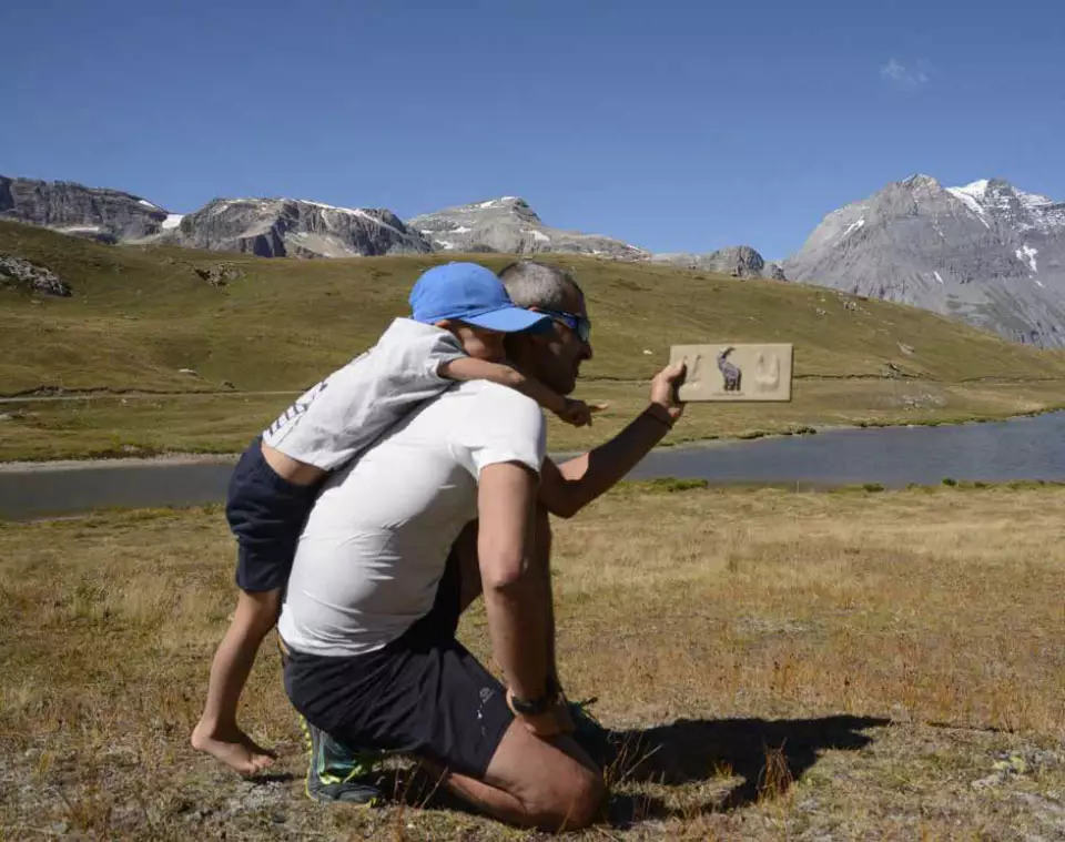 Activities to raise awareness of environmental protection