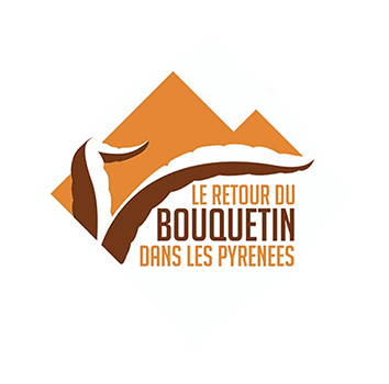 For the return of the ibexes in the Pyrenees massif