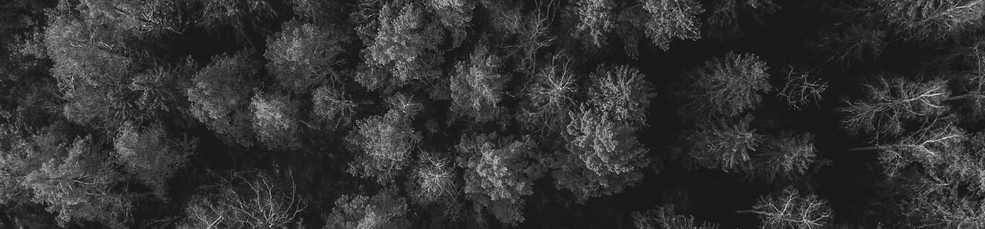 INWILD notre impact sur l'environnement