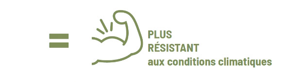 Utilise des matériaux plus résistant aux conditions climatiques