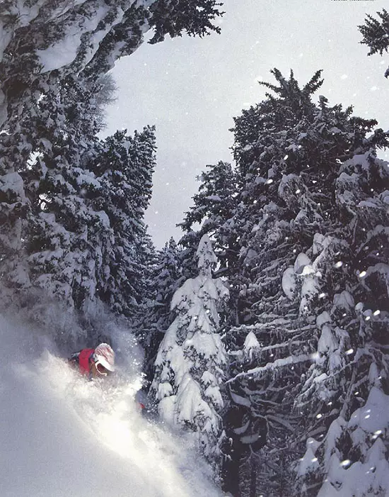 Ambassadeur Bob Mazerei 3