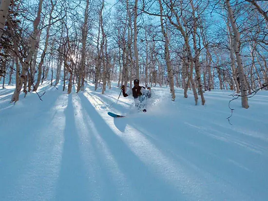 Ambassadeur Miles Fey 2