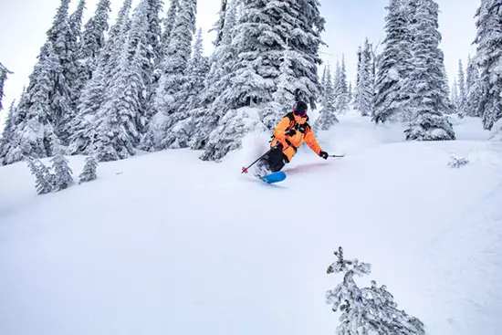 Ambassadeur Joe Turner 2