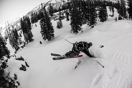 Ambassadeur Tim Shepard 4