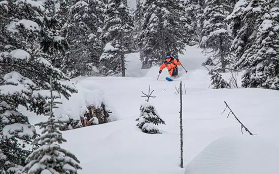 Ambassadeur Joe Turner 3