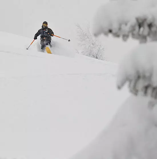 Ambassadeur Remy Maisonnavei 2