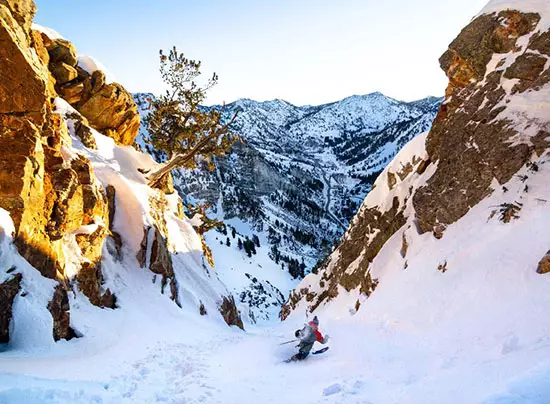 Ambassadeur Miles Fey 1