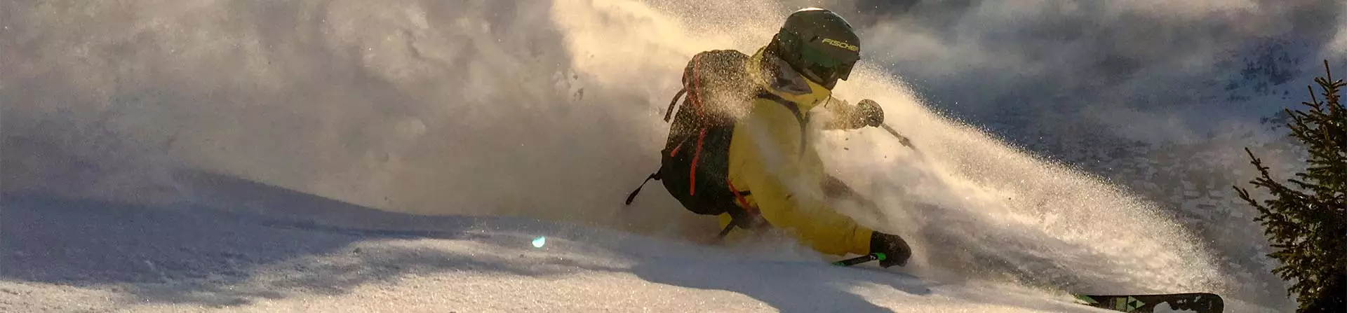 INWILD notre série serial heelers