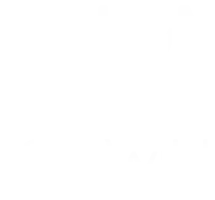 LINEA BY INWILD