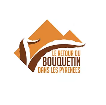 Pour le retour des bouquetins dans le massif des Pyrénées 